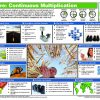 Church Transition: Coaching Guide with Storyboard - Image 2