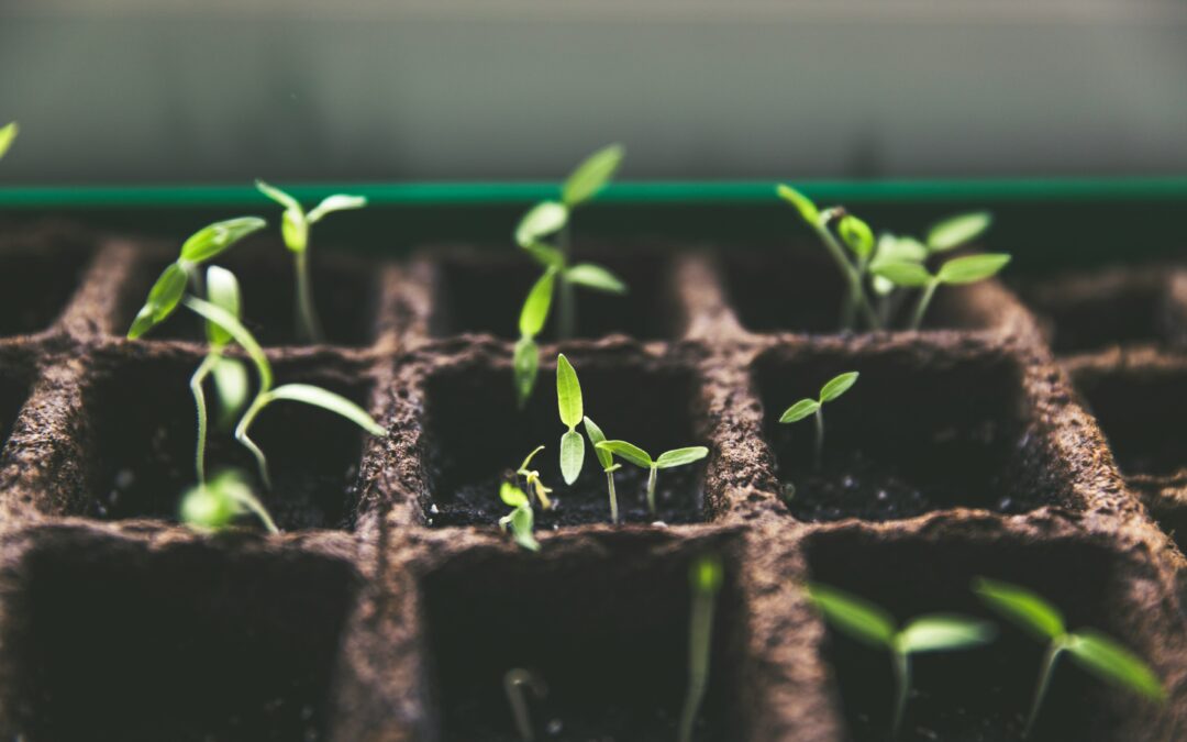 What are the key characteristics of the Modern Day Apostle?